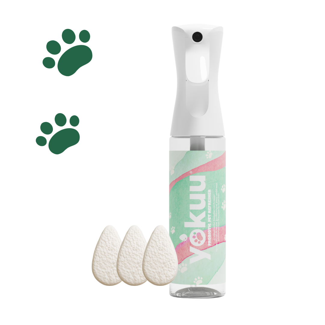 Rafraîchissement pour animaux de compagnie